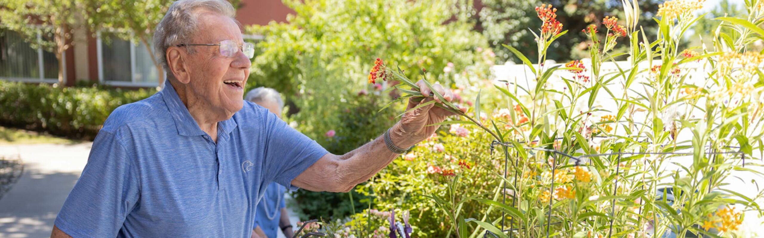 An elderly man in a blue shirt laughs and enjoys flowers in a blooming garden portraying outdoor life at Carlton Senior Living.